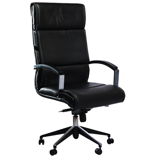 Executive Chair - Leather & Steel, Polished Finish, Lightweight Design, Available in Various Colors, Stylish Modern Look