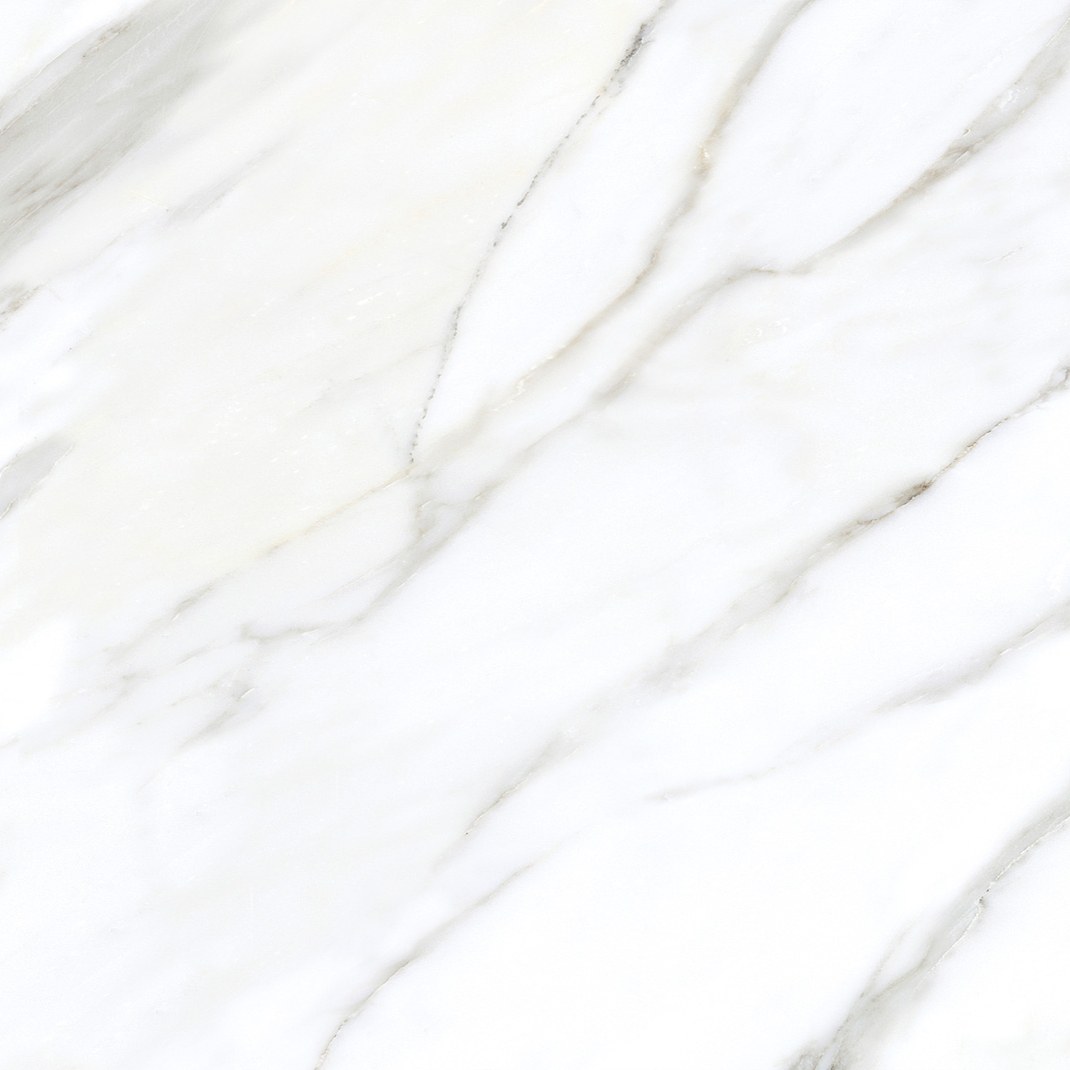 White Statuario Porcelain Floor Tiles Alvino Natural - Pattern: Square Edge