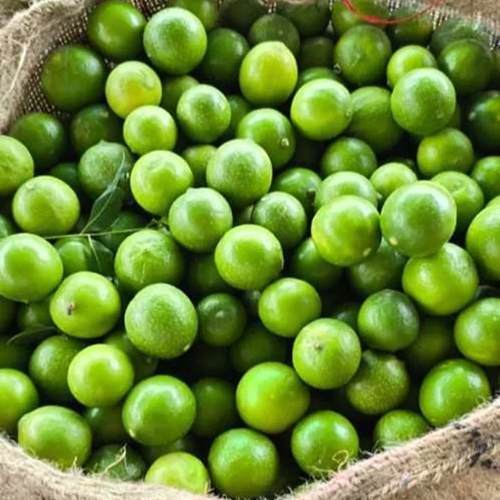 Fresh Green Lemon - 100% Moisture, Round Shape | Raw Instant Product for Seasoning and Garnishing