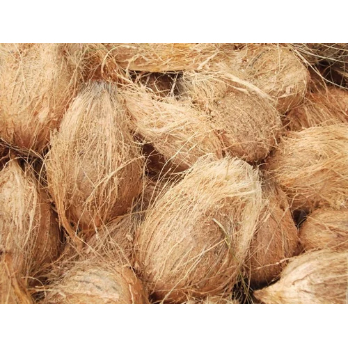 Semi Husked Coconut - Whole Brown, Semi-Husked Shell | Organic Cultivated, Fresh Taste, Matured Variety, 6 Months Shelf Life