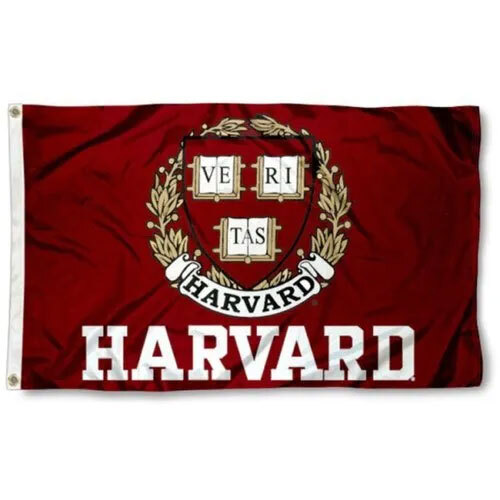 School Flags - Material: Polyester