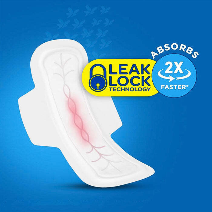 Blue Lady Extra Long Pads