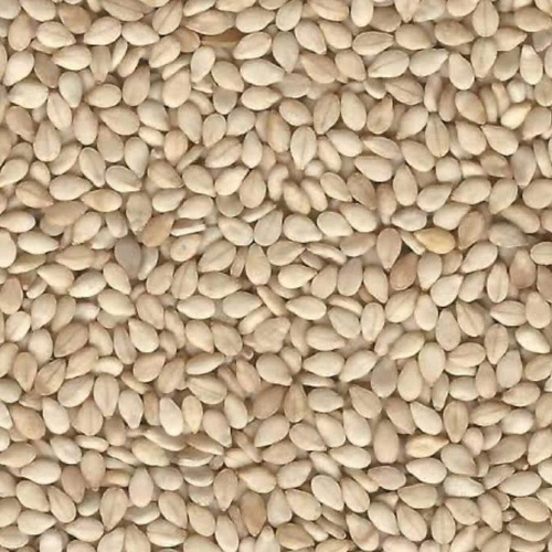 Sesame Seeds - Food Grade Variety, White Color, 6-12 Days Freshness | Rich Source of Protein, Fiber, and Healthy Fats, Perfect for Culinary Uses
