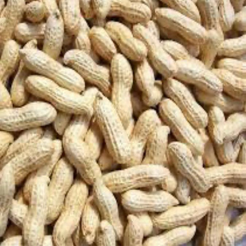 Fresh Ground Nut - Organic Raw Brown Groundnuts | Freshly Ground, No Additives, Ideal for Cooking, Baking, or Snacking