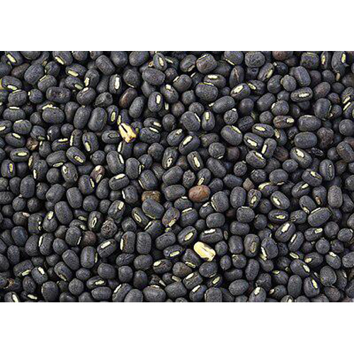 Black Gram Dal - Cultivation Type: Organic