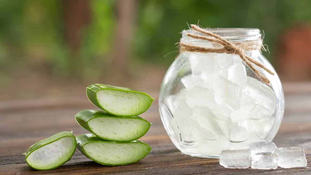Aloevera Gel - Ingredients: Herbal