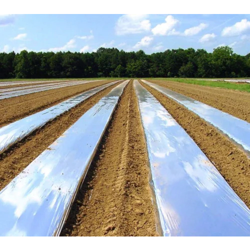 800m Plastic Agriculture Mulching Film - Plastic, 800 Meters, White Color, 25 Micrometers Thickness, Opaque/Transparent Options, Eco-Friendly