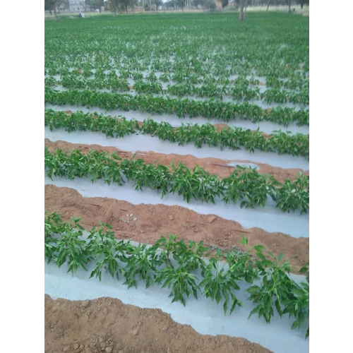 White Mulching Film - 25 Micrometer Thickness, 800 Meter Length | Durable Plastic, Reflective White Color, Opaque/Transparent Options, Warranty Included