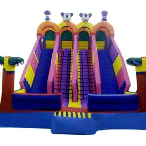 4 Slides Inflatable Bouncy - Material: Rubber