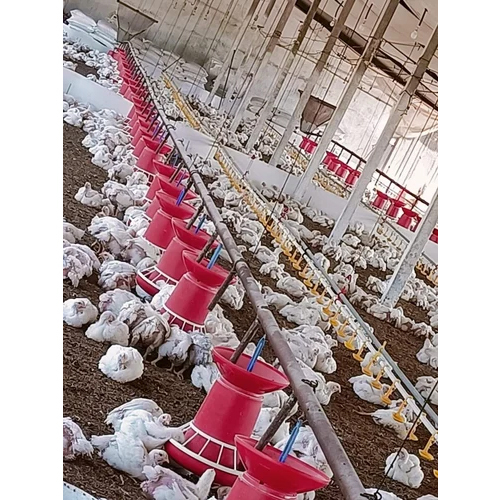 Broiler Feeding System - Durable Plastic, Vibrant Red Color | Bell Mechanism for Optimal Feed Distribution and Minimal Waste