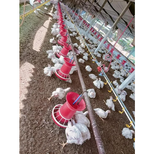 पीवीसी पोल्ट्री फ़ीडर