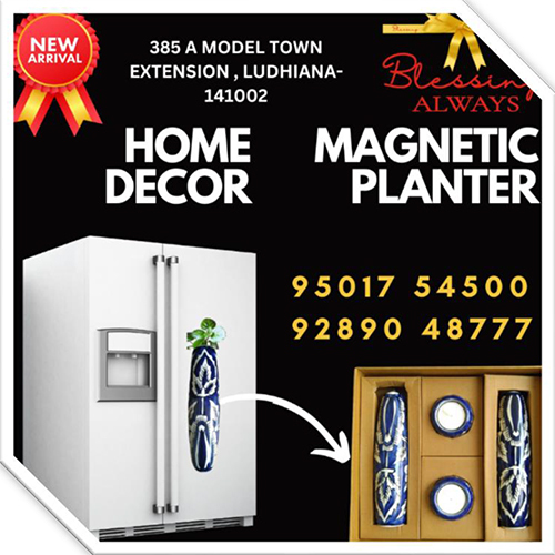 Magnetic Planters Duo - Color: Multicolour