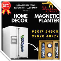 मैग्नेटिक प्लांटर्स डुओ