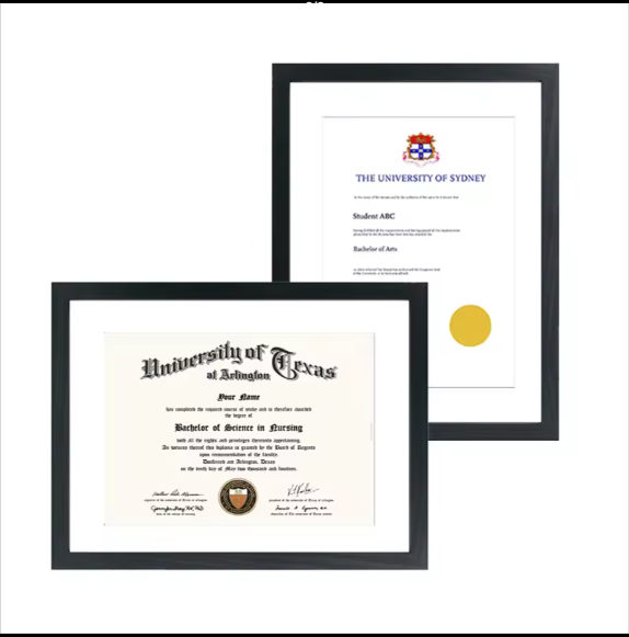 A4 Picture Frames - Plastic, 8x12 To 12x18 Sizes | Polished Pvc Cover, Customizable Color Options, Modern And Stylish Design