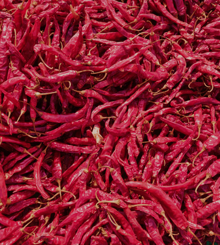 341 लाल मिर्च