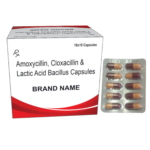 Amoxycillin Cloxacillin And Lactic Acid Bacillus Capsules