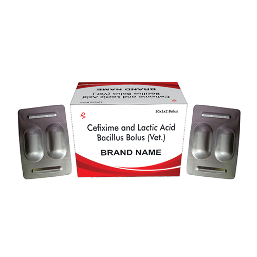 Cefixime and Lactic Acid Bacillus Bolus