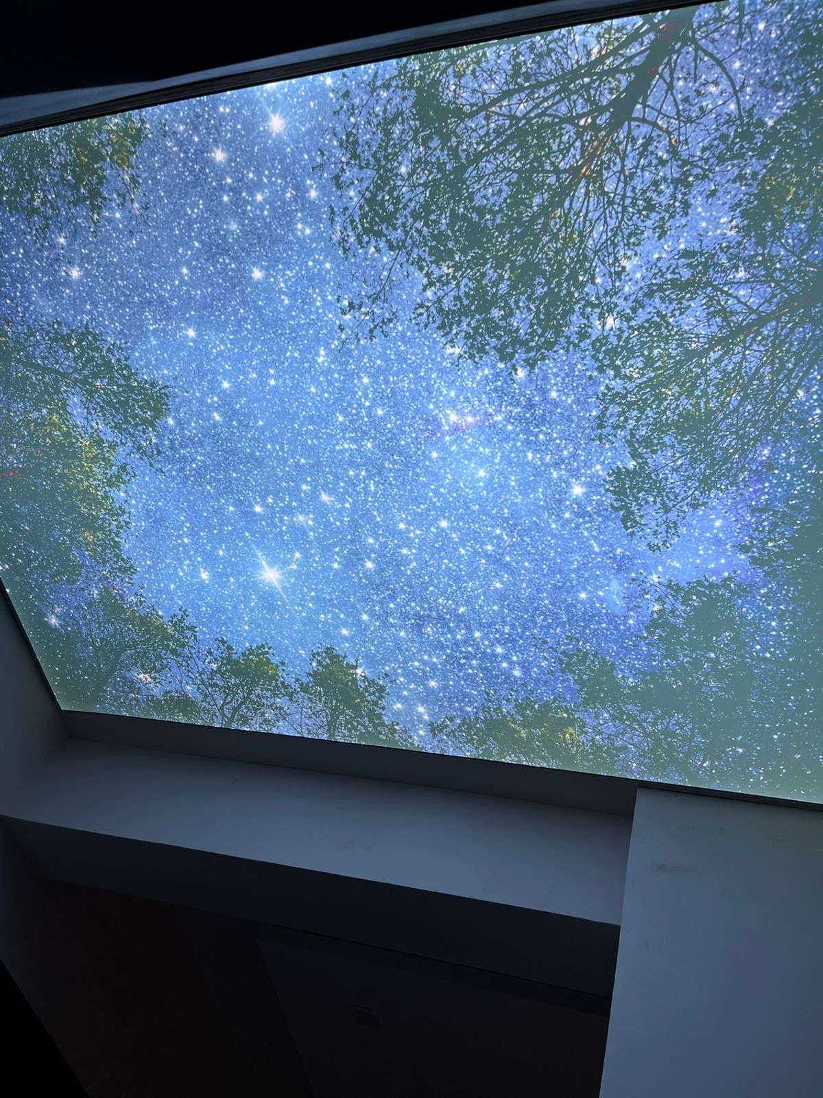 Artistic Stretch Ceilings - Pattern: Customize