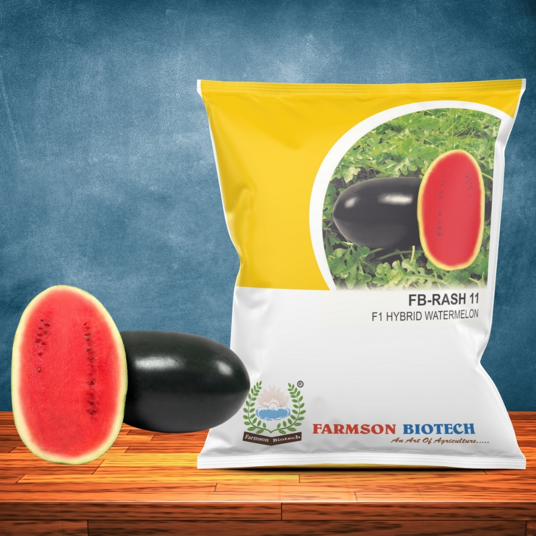 -Rash11 F1 Hybrid Watermelon Seeds - Cultivation Type: Common