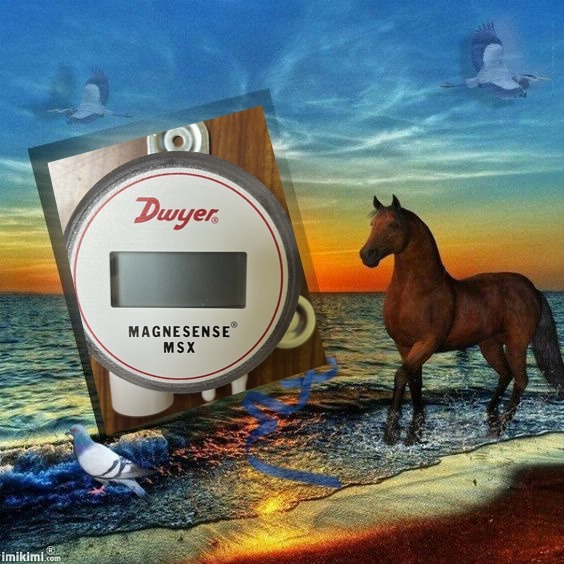 Dwyer Msx-w22-in-lcd Differential Pressure Transmitter