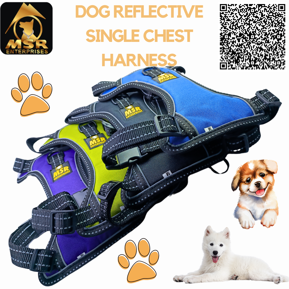 Single Layer Dog Chest Harness - Pp Material, Size Xl, Multi-color Option | High Quality Design For All Breeds
