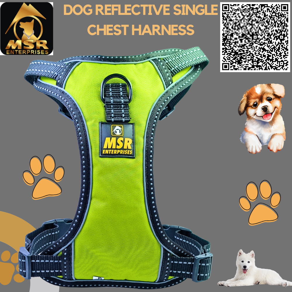 Single Layer Dog Chest Harness - Pp Material, Size Xl, Multi-color Option | High Quality Design For All Breeds