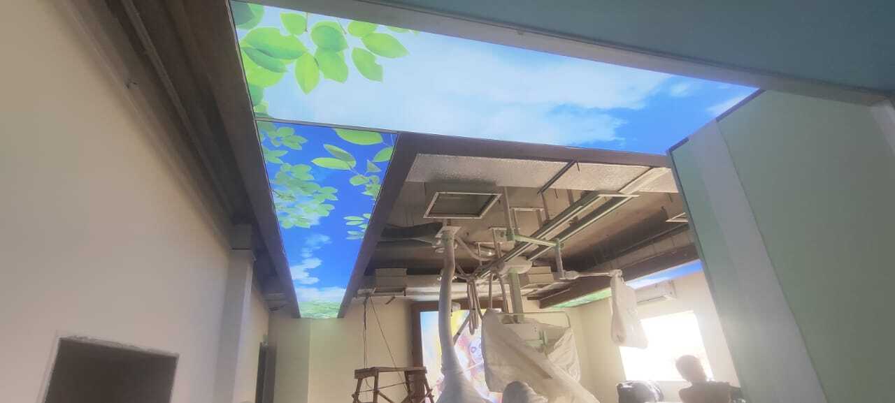 Flower Design Stretch Ceiling - Pvc Material, 0.18mm Thickness | Intricate Floral Patterns, Easy Maintenance, Nature-inspired Elegance