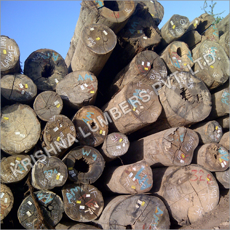 टिम्बर लॉग
