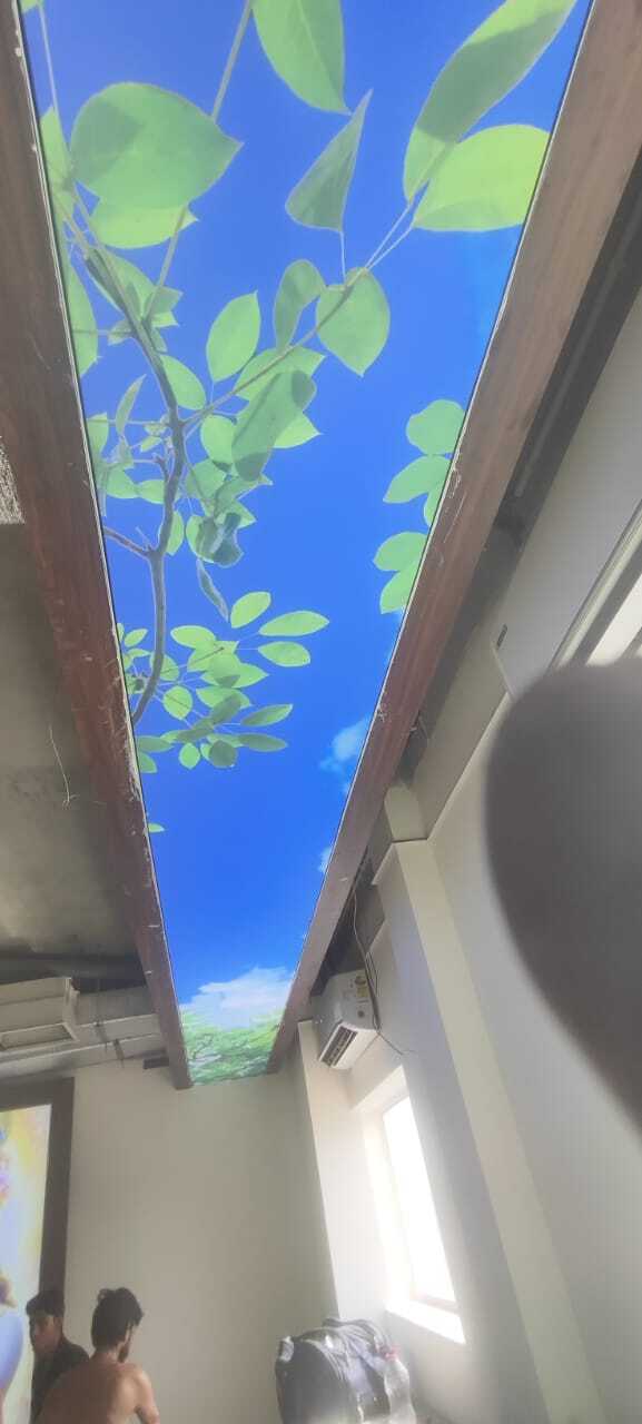 Washroom Stretch Ceiling - .18mm Thickness | Moisture-resistant, Customizable Design Options, Waterproof Finish