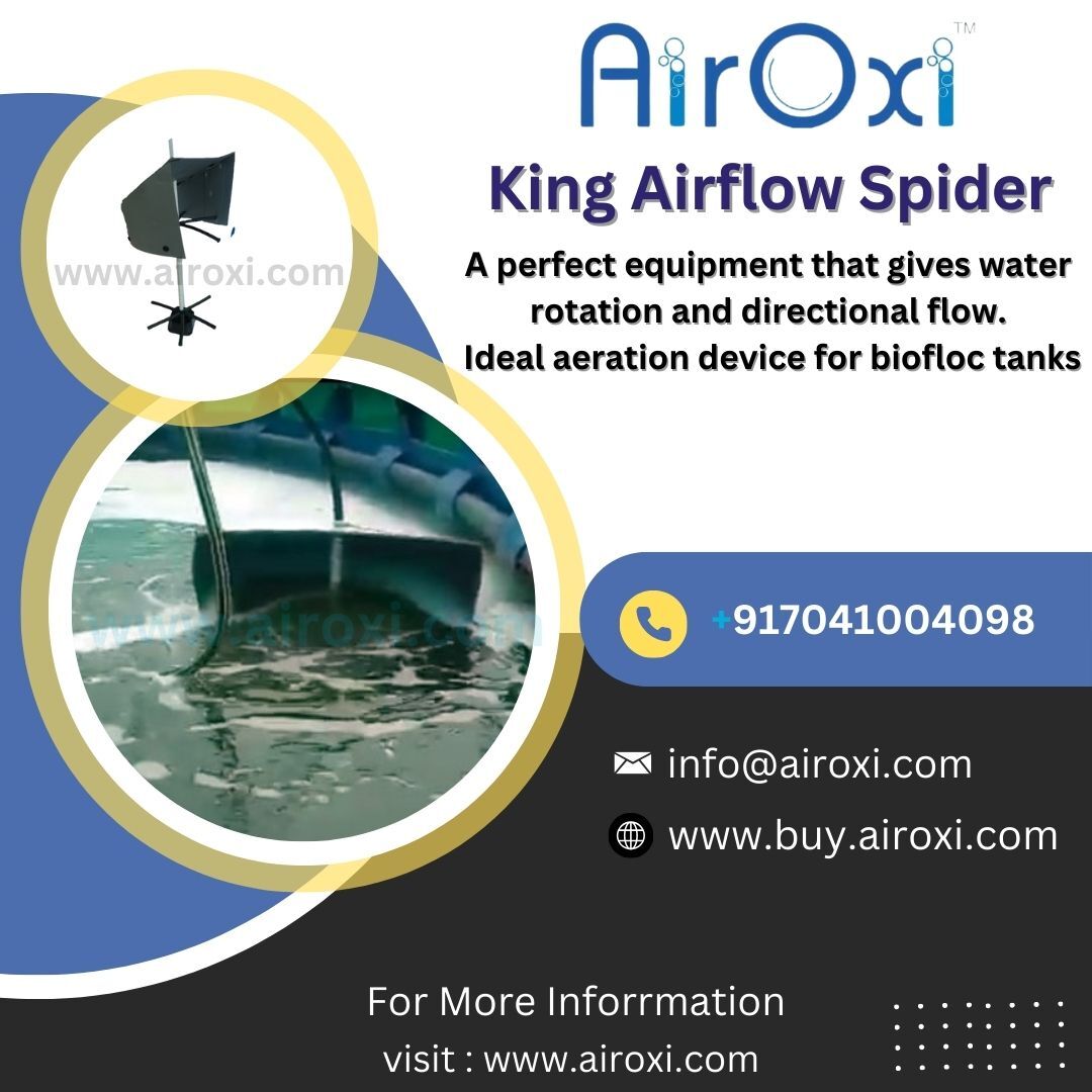 Airoxi King Spider - Color: Black