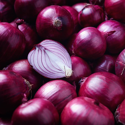 Fresh Red Onion - Moisture (%): 90%