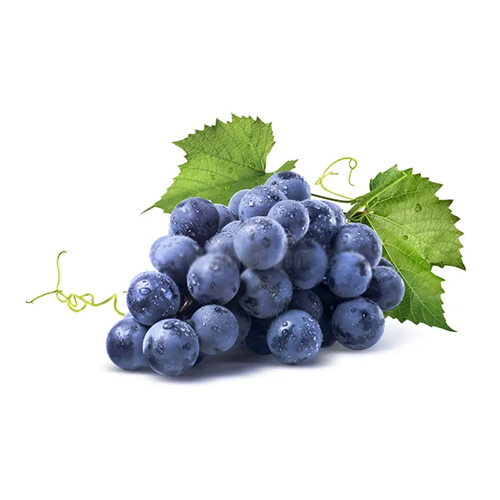 Black Grapes - Cultivation Type: Organic