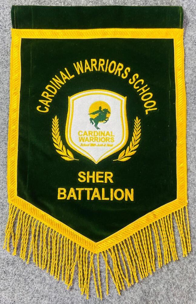 18X12 School T Flag - Color: Customs