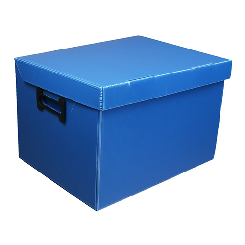 Pp File Box - Color: Blue