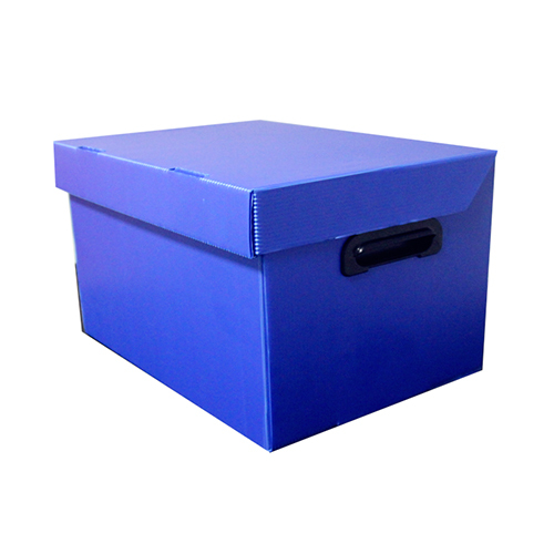 Pp File Box - Color: Blue