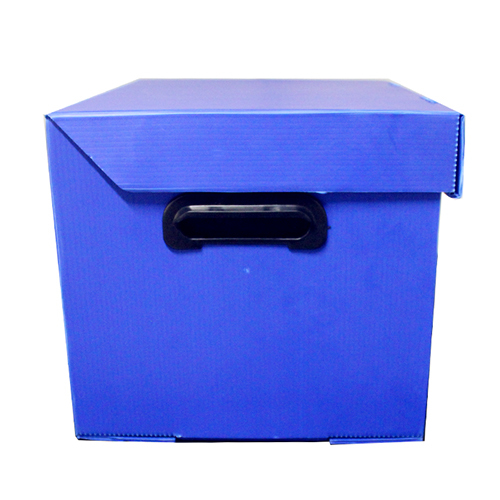 Pp File Box - Color: Blue