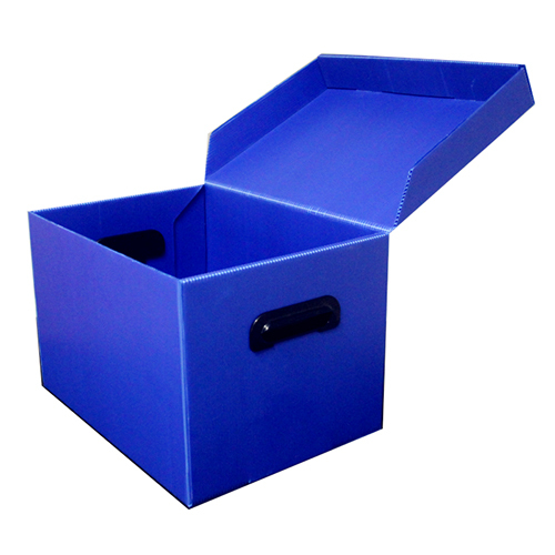 Pp File Box - Color: Blue