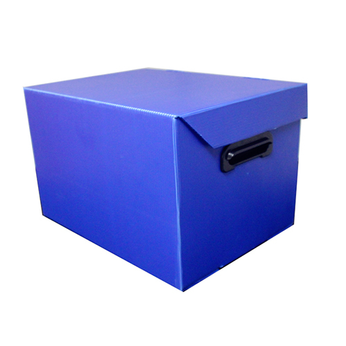 Pp File Box - Color: Blue