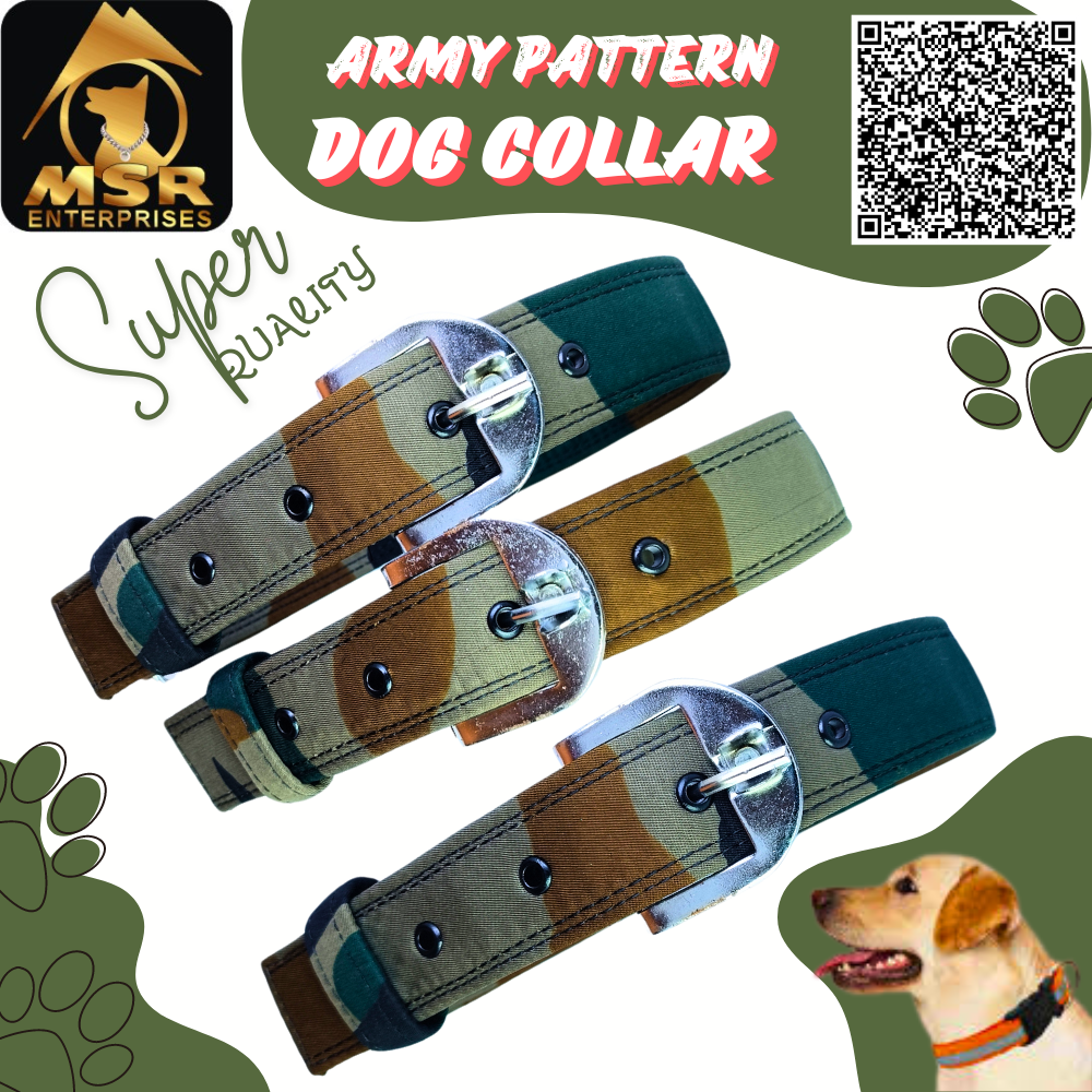 Army Pattern Dog Collar - Pp/nylon, 1.5 Inch | Durable Materials, Adjustable Fit, Easy To Clean, Stylish Military-inspired Design