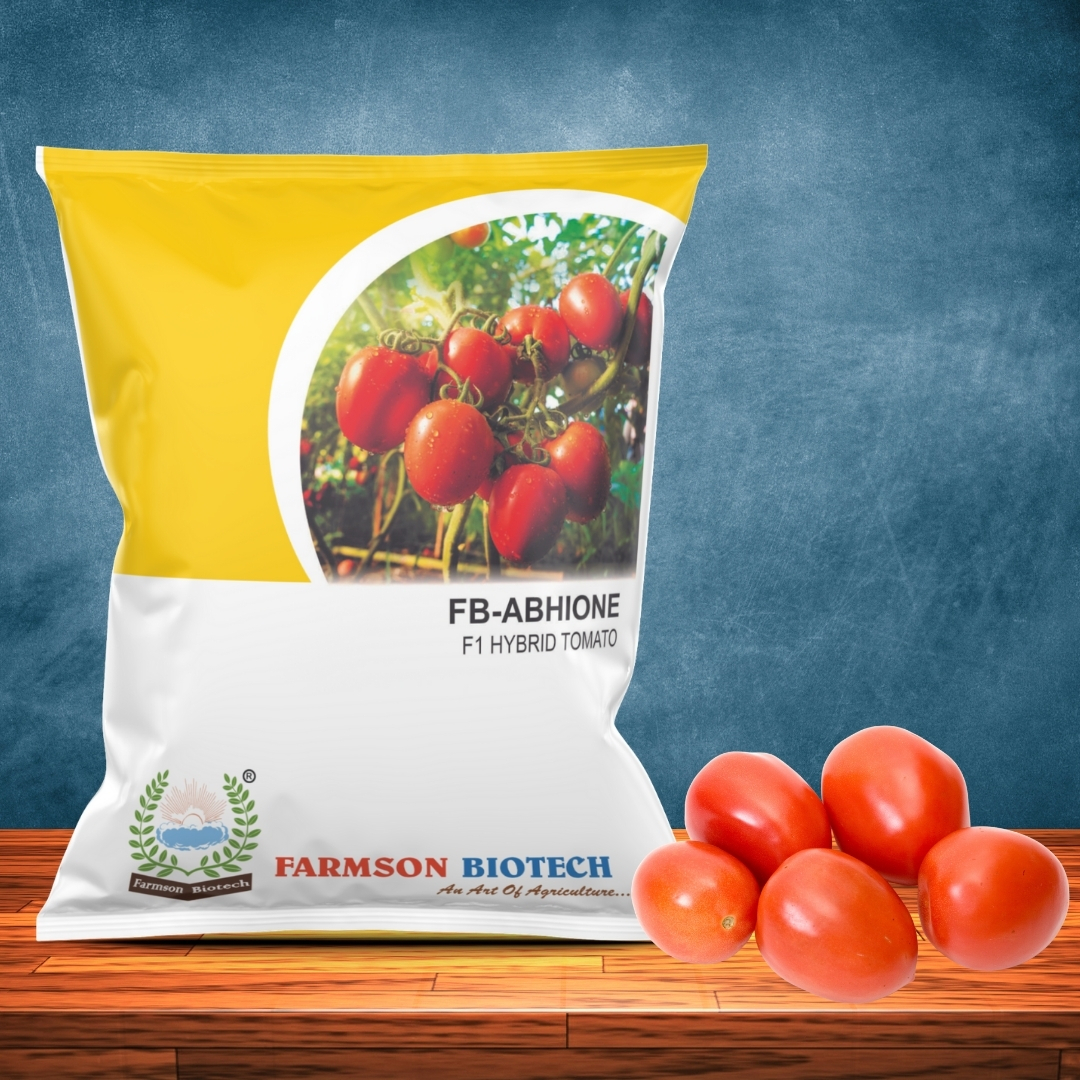 Tomato Seeds Fb-abhione F1 Hybrid - Cultivation Type: Common