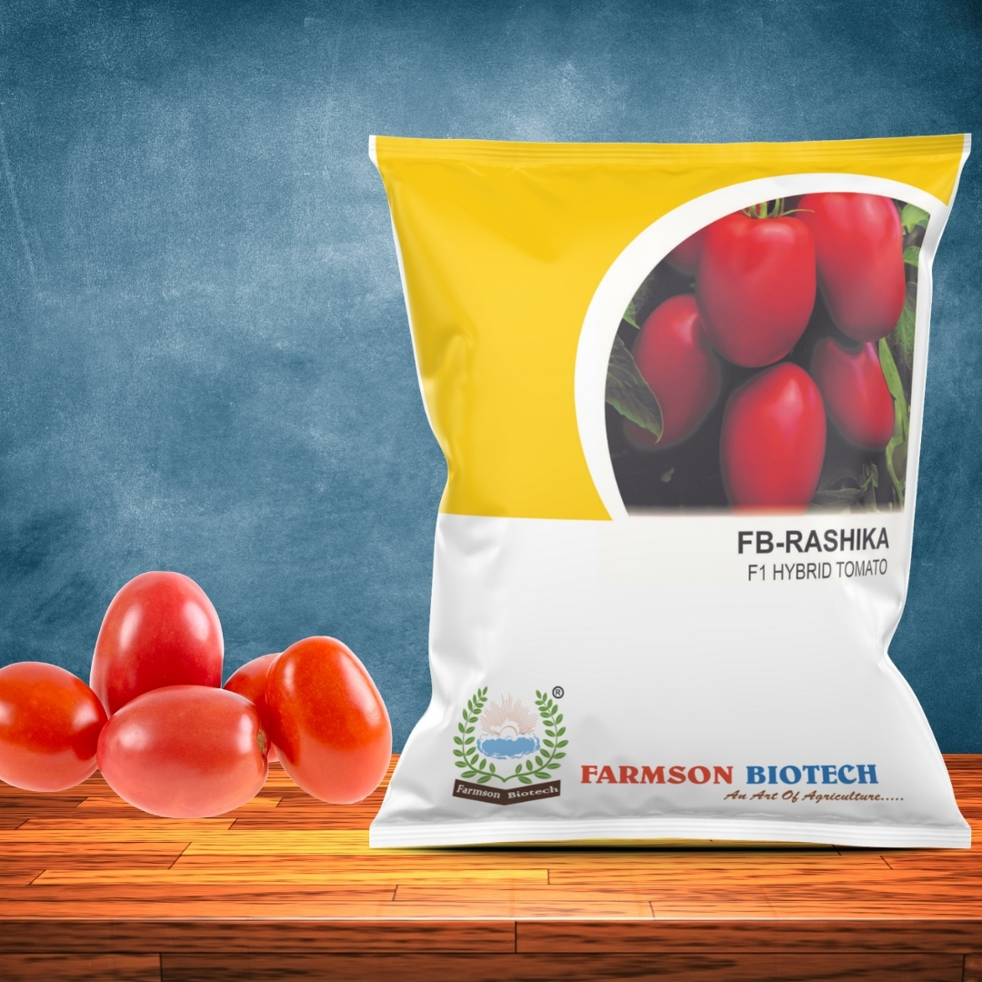 Tomato Seeds - Rashika F1hybrid - Ash %: 1%
