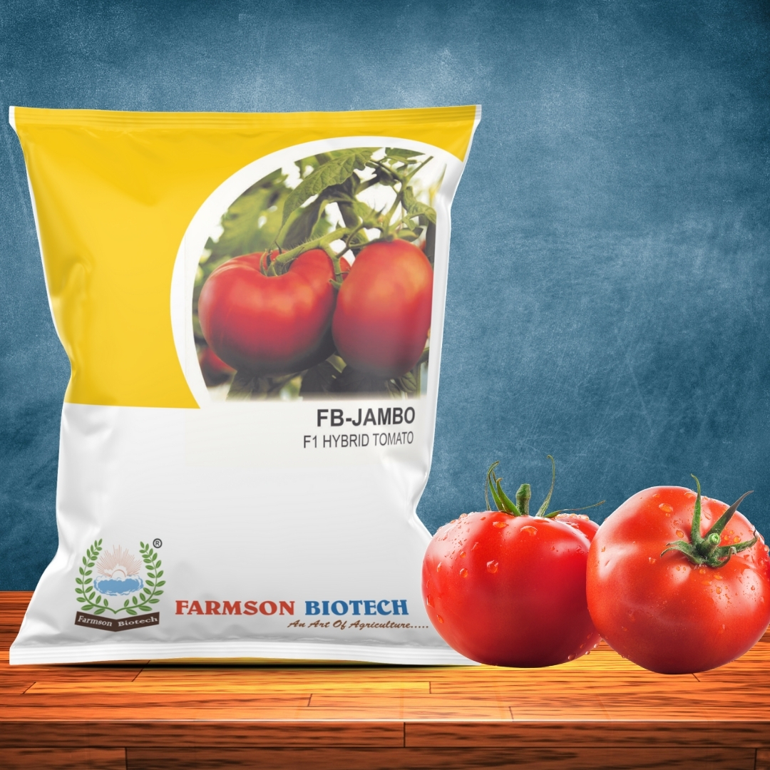 Tomato Seeds - Big Round And Glossy Deep Red Fruits | High Yield, Hybrid Variety, Disease Tolerant, 95%-99% Purity, 9 Months Shelf Life