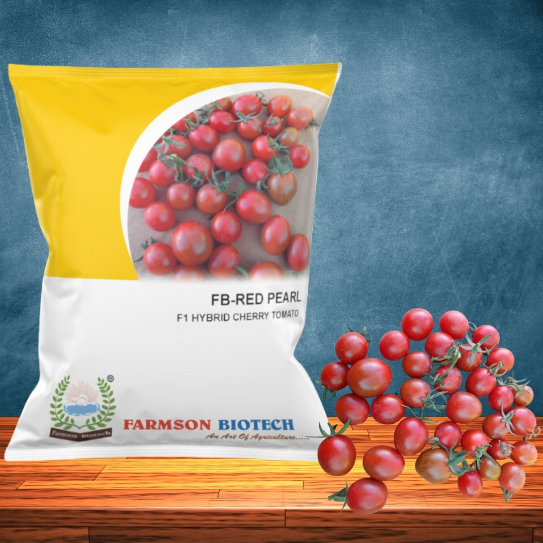 Cherry Tomato Seeds Fb-red Pearl (Round) F1 Hybrid - Cultivation Type: Common