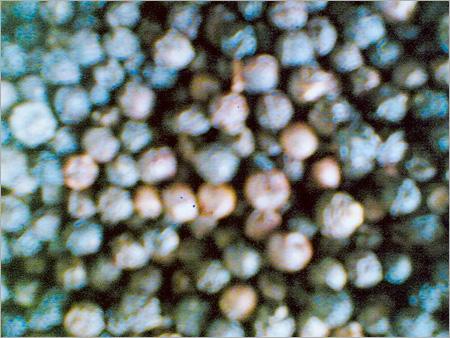 काली/सफेद मिर्च (निर्यात गुणवत्ता)