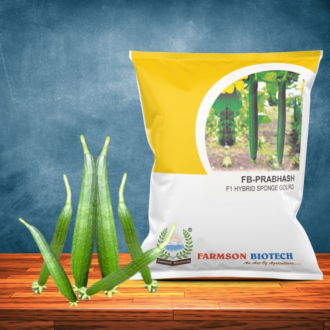 Fb-prabhas F1 Hybrid Sponge Gourd Seeds - Long Cylindrical Dark Green Fruits 25-30 Cm, 150-200 Gm Weight | High Yielding, 45-50 Days To Harvest