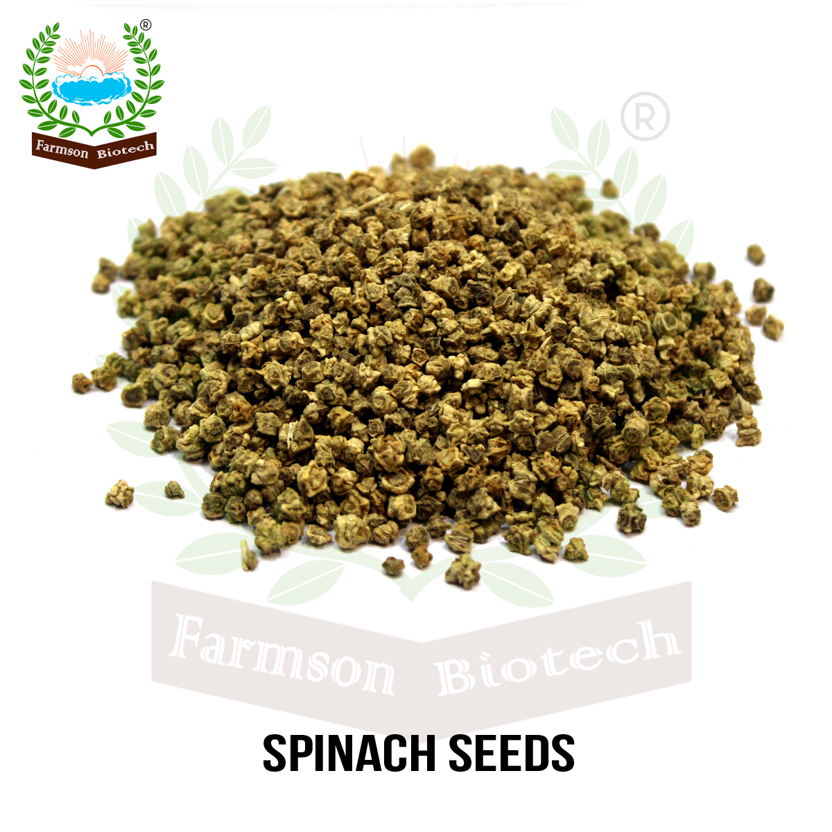 -Avantika Spinach Seeds - 90-110 Days Maturity, 95%-99% Purity, Uniform Green Broad Leaves, Suitable For Kharif & Rabi Seasons