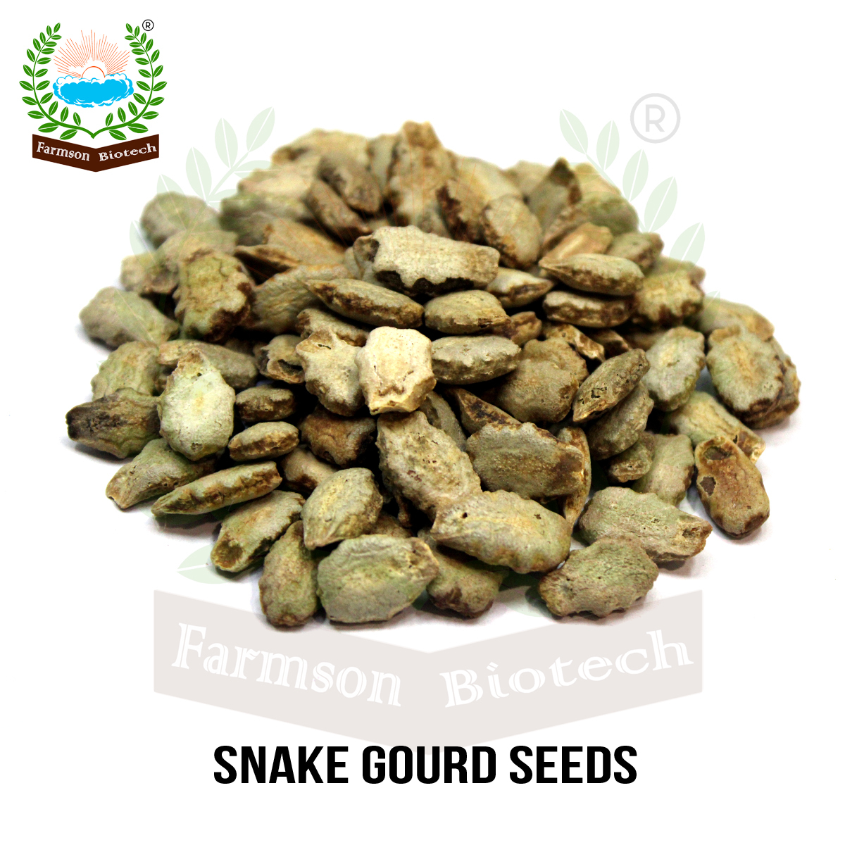 Snake Gourd Seeds -Tapi F1 Hybrid - Cultivation Type: Common