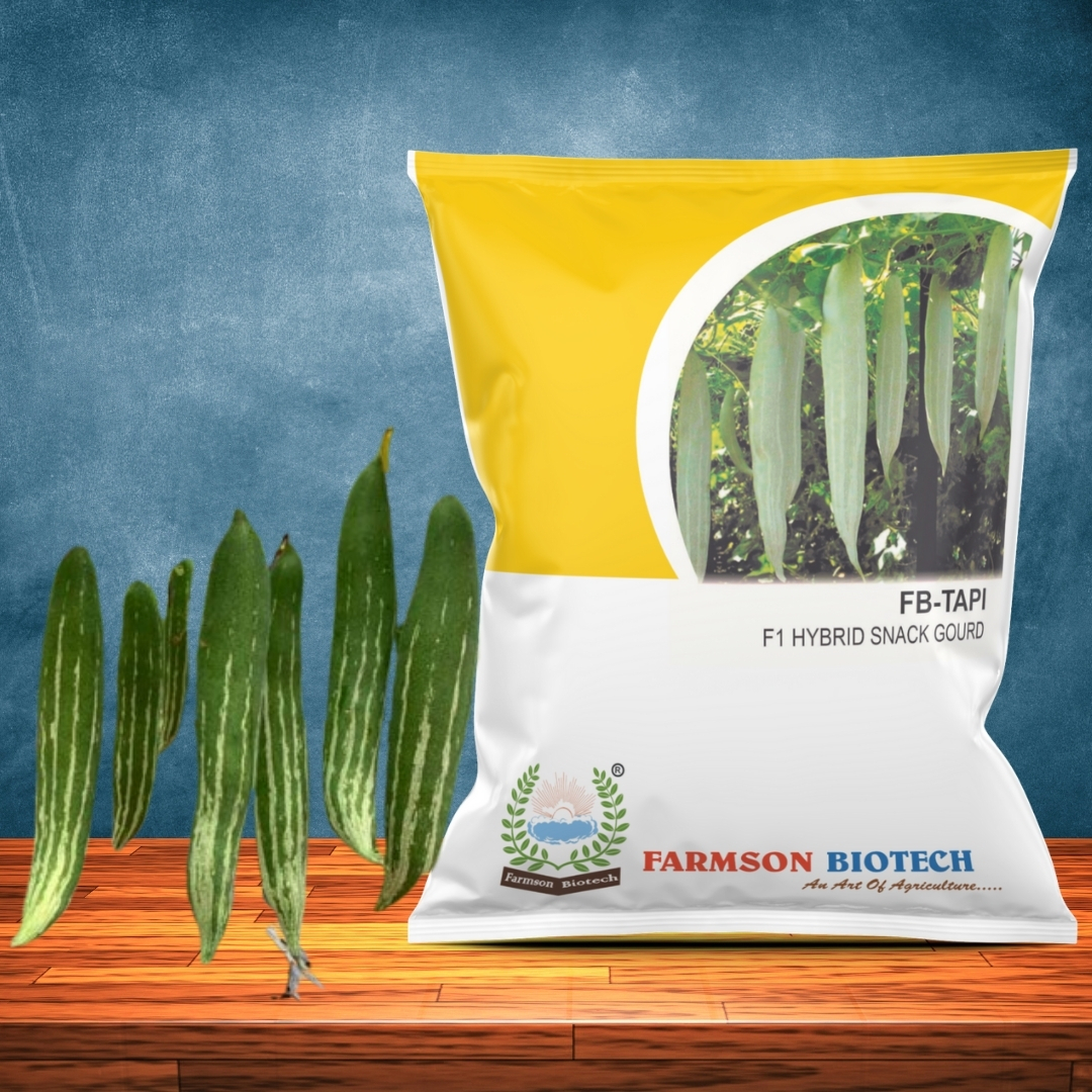 Snake Gourd Seeds -Tapi F1 Hybrid - Cultivation Type: Common