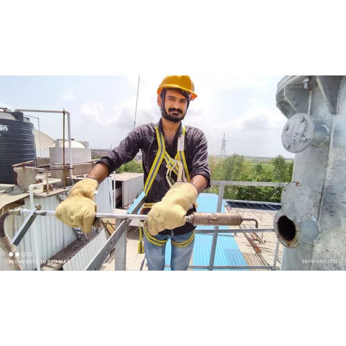 Environmental Testing Services