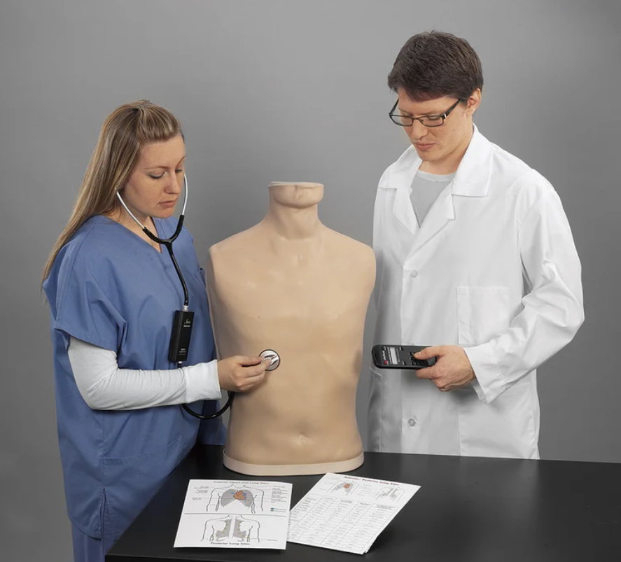 Auscultation Trainer - Color: Cream
